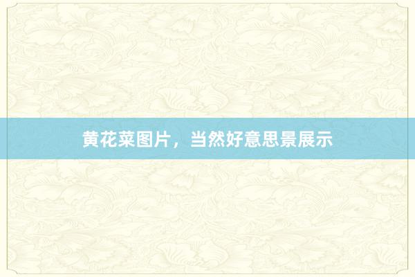 黄花菜图片，当然好意思景展示
