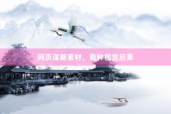 网页谋略素材，栽种视觉后果