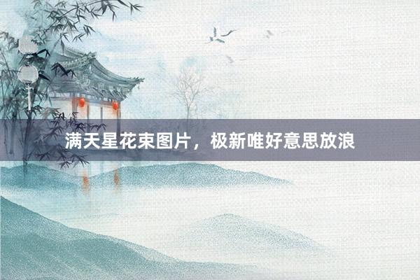 满天星花束图片,极新唯好意思放浪