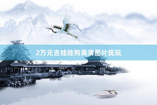 2万元吉娃娃狗高清图片抚玩