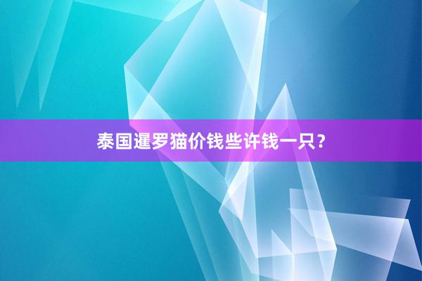 泰国暹罗猫价钱些许钱一只？