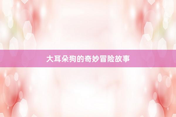大耳朵狗的奇妙冒险故事