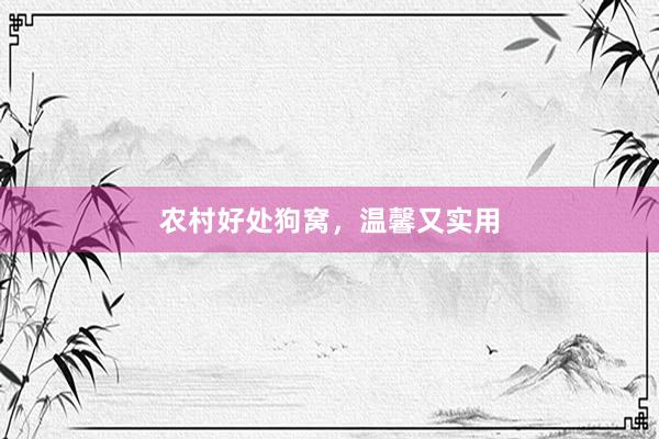 农村好处狗窝，温馨又实用